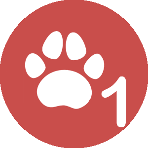 Author Level 1 :  has sold USD 1+ ON DigitKart